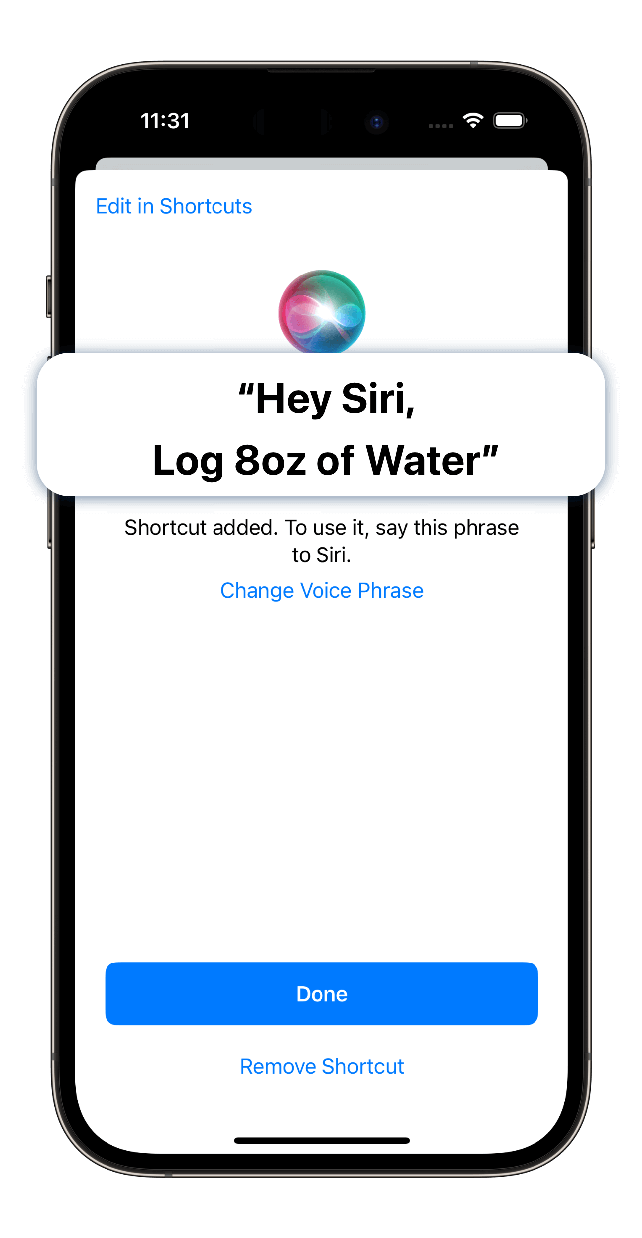 Siri Shortcuts and WaterMinder – Funn Media Support