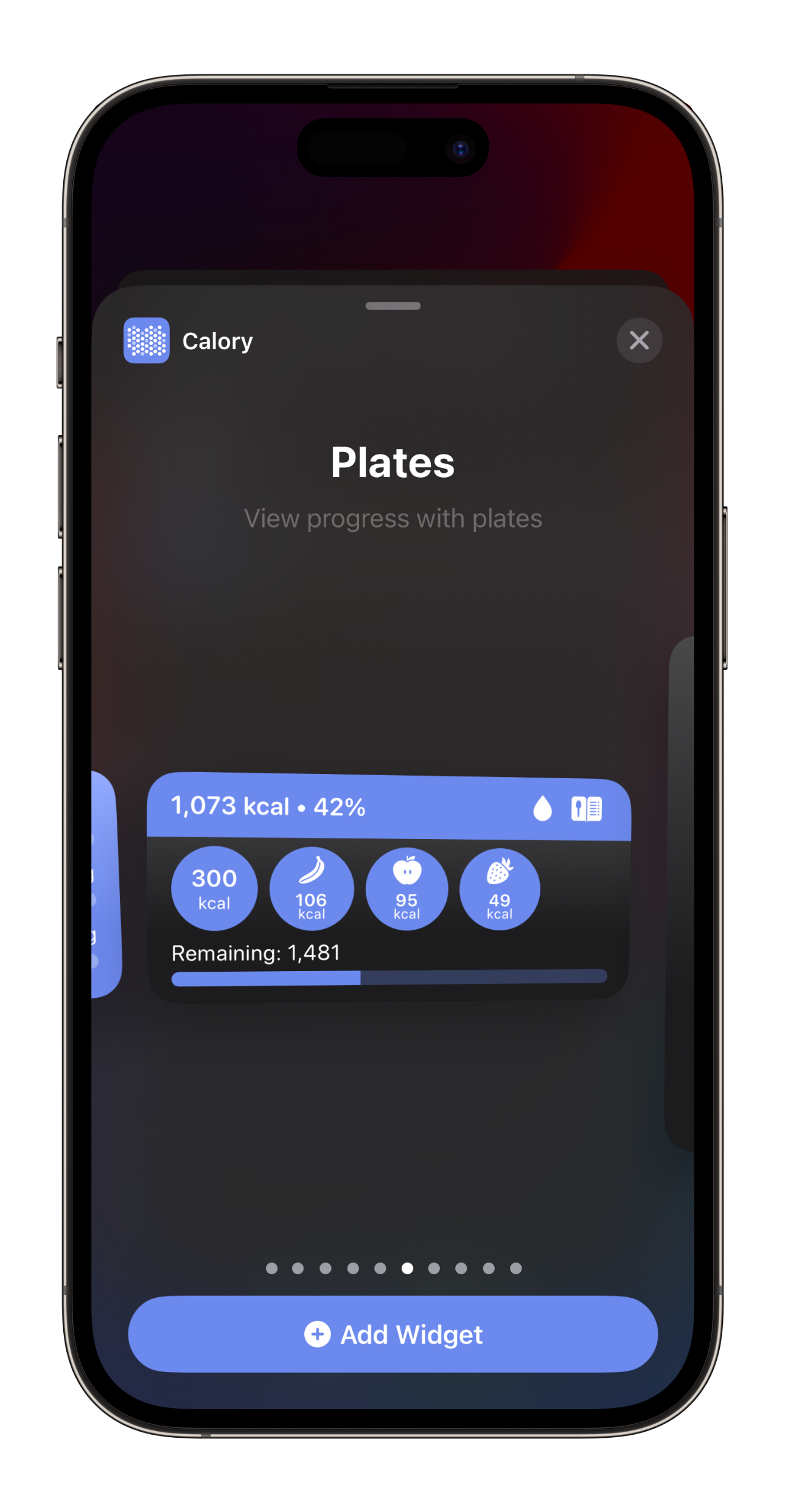 7_Calorie Intake Progress With Quick Add Plates 01.png